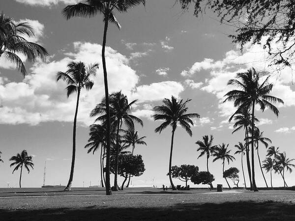 Non-urban Scene Art Print featuring the photograph Palm trees at beach by Adele Vallar / FOAP