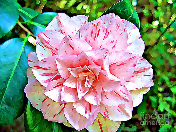 Pink Art Print featuring the mixed media Peppermint Rose by Tracy Ruckman