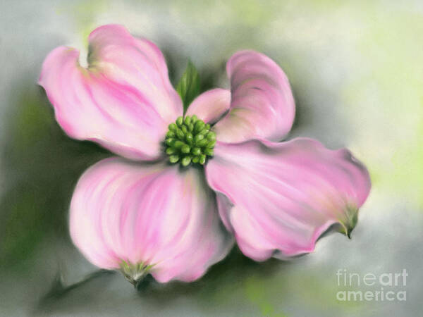 Botanical Art Print featuring the painting Pink Dogwood in Spring by MM Anderson