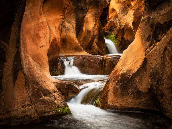 Waterfalls Art Print featuring the photograph Pleasant Creek by Peter Boehringer