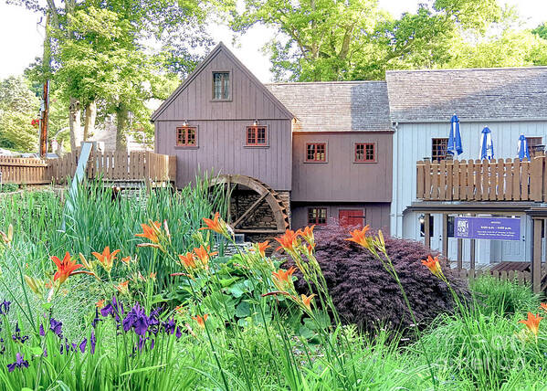 Plimoth Grist Mill Art Print featuring the photograph Plimoth Grist Mill in summer by Janice Drew