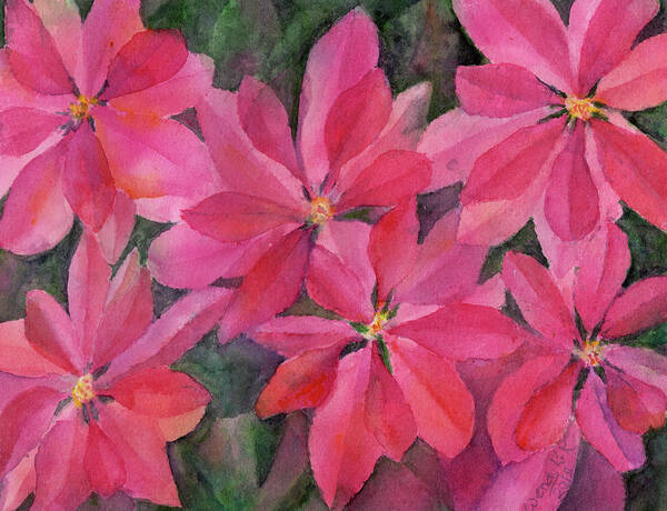 Poinsettia Art Print featuring the painting Poinsettias Galore by Wendy Keeney-Kennicutt