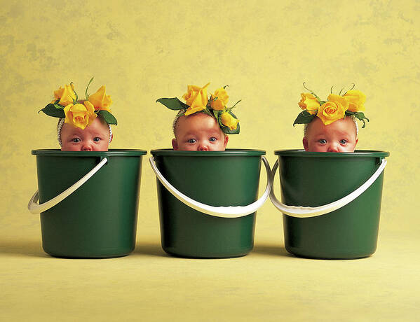 Pool Party Art Print featuring the photograph Pool Party by Anne Geddes