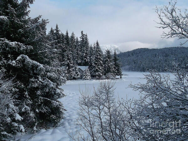 #alaska #juneau #ak #cruise #tours #vacation #peaceful #aukelake #snow #winter #cold #postcard #morning #dawn Art Print featuring the photograph Postcard-esque by Charles Vice