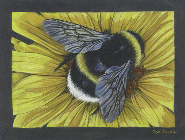 Bumblebee Art Print featuring the pastel Protect Pollinators by Twyla Francois