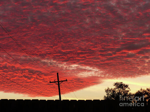 Red Sky Rising Art Print featuring the photograph Raising Hell by Rosanne Licciardi