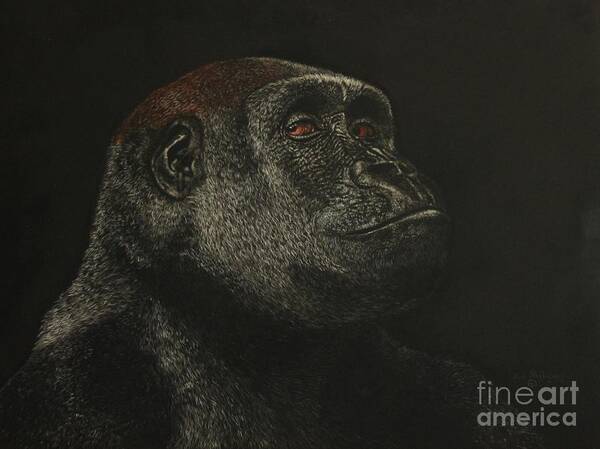 Gorilla Art Print featuring the painting Really ? by Bob Williams