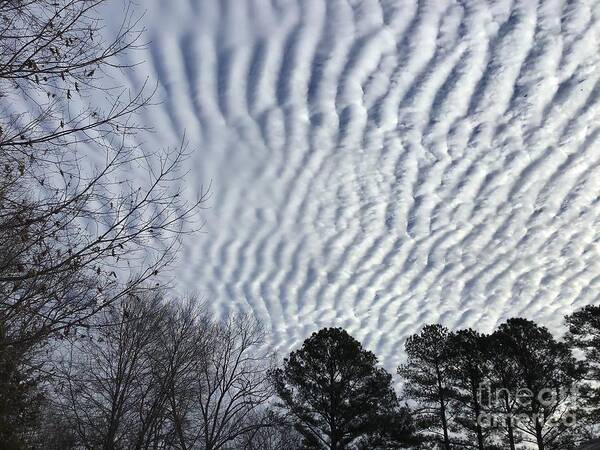 Clouds Art Print featuring the photograph Rippling Clouds One by Catherine Wilson