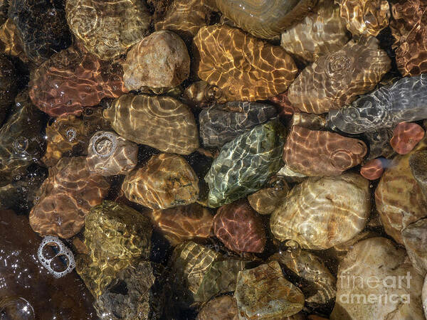 Brown Art Print featuring the photograph River Rock Reflections at St Peters Hospital in Helena Montana by Dutch Bieber