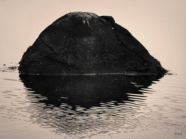 Abstract Art Print featuring the photograph Rock and Reflection Toned by David Gordon