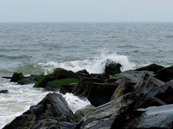 Waves Art Print featuring the photograph Rocky Shores of the Atlantic Ocean in Cape May New Jersey by Linda Stern