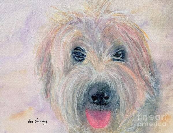 Soft-coated Wheaten Terrier Art Print featuring the painting Rory by Sue Carmony