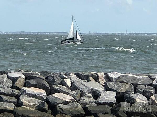 Fort Monroe Art Print featuring the photograph Sailing at Fort Monroe by Catherine Wilson