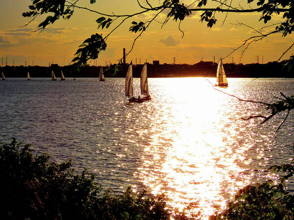 Sailboats Art Print featuring the photograph Sailing at Sunset - Two by Linda Stern
