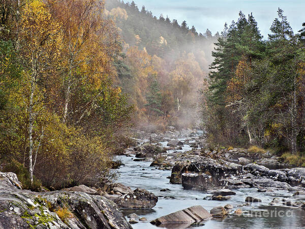 Fog Beauty Over River Scottish Golden Autumn Stones Boulders Cobbles Gravel Pebble Rocks Scree Birches Yellow Green Woods Forest Nature Elements Landscape View Scenery Water Flow Beautiful Delightful Pretty Calm Restful Relaxing Relaxation Serenity Atmospheric Aesthetic Mindfulness Magnificent Powerful Stunning Walking Art Artistic Painterly Imaginable Beauty Fresh Untouched Nobody Solitary Delicate Gentle Scotland River Scottish Highlands Uk Impression Expressive Misty Fall Vista Smart River Art Print featuring the photograph Fog Beauty Over River Scottish Golden Autumn by Tatiana Bogracheva