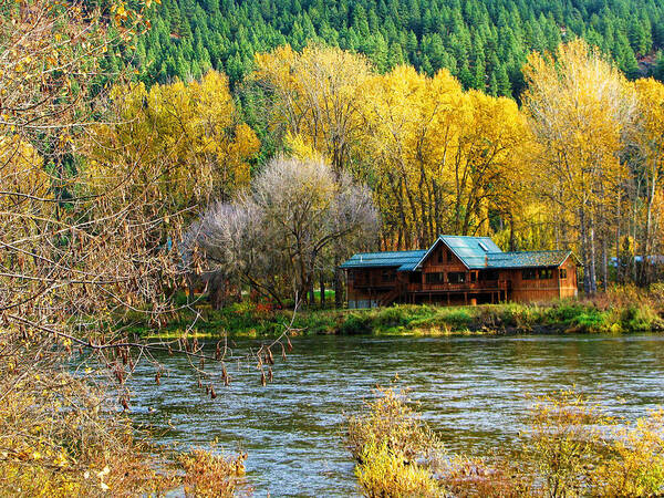 Cabin Art Print featuring the photograph Serenity by Segura Shaw Photography