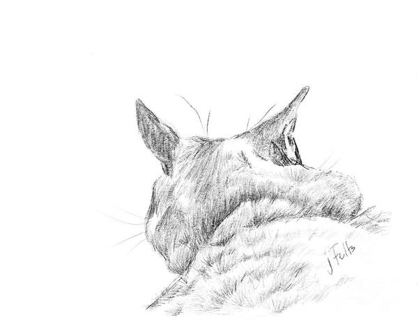 Cat Art Print featuring the digital art She's Ignoring Me by Janet Felts