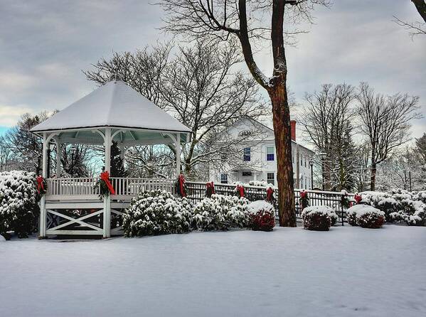 Shrewsbury Art Print featuring the photograph Shrewsbury Town Common covered in snow by Monika Salvan