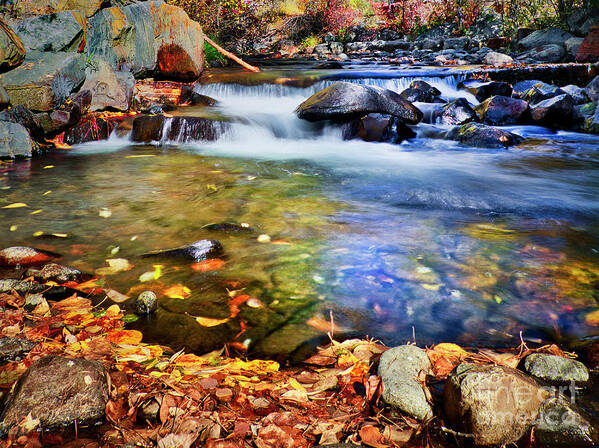 Creek Art Print featuring the photograph Signs of Fall by Thomas Nay