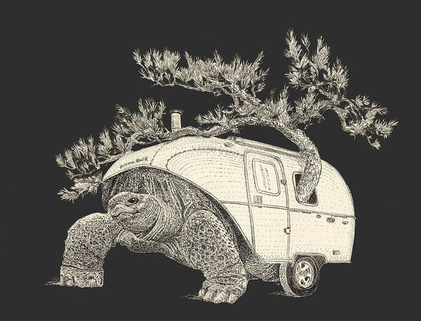 Tortoise Art Print featuring the digital art Silver Back by Jenny Armitage