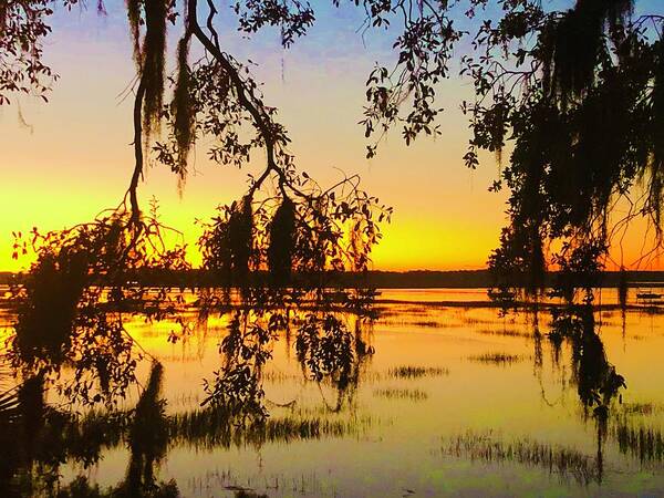 Landscape Art Print featuring the photograph Spanish Moss Sunrise by Michael Stothard