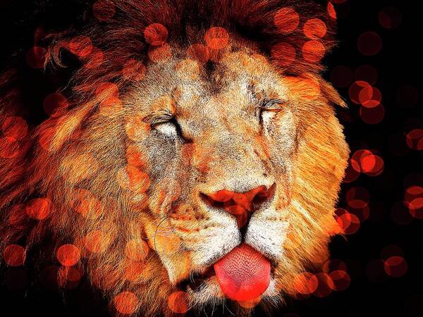 Beautiful Art Print featuring the photograph Sparkly Majestic Lion by Michelle Liebenberg
