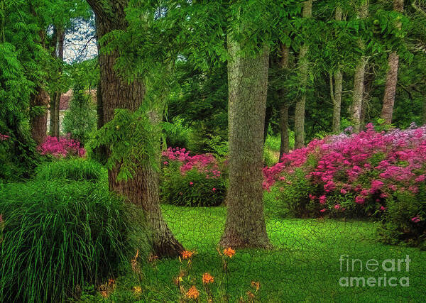 Flower Art Print featuring the photograph Spring Gardens by Shelia Hunt