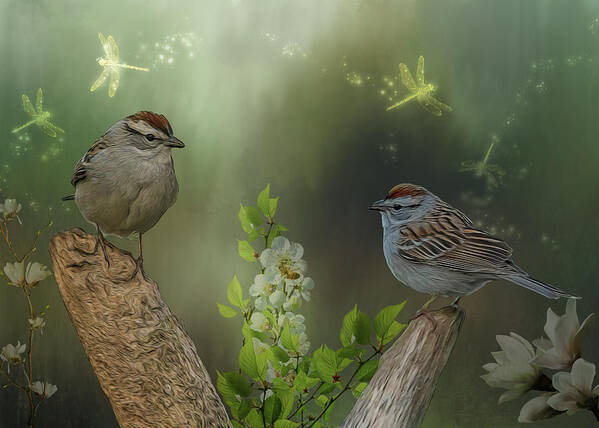 Birds Art Print featuring the photograph Spring Sparrows by Cathy Kovarik