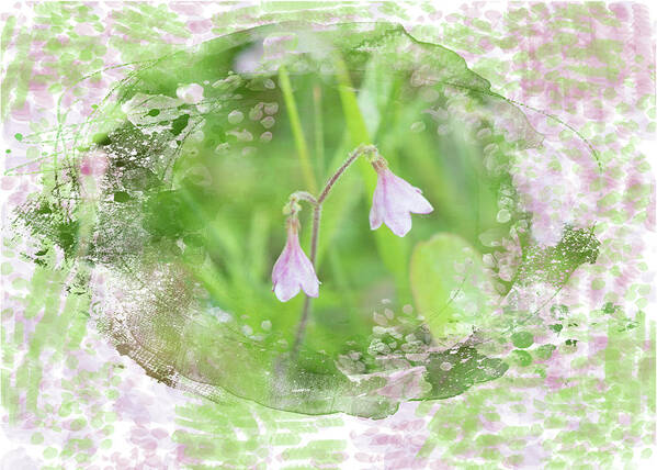 Easter Art Print featuring the mixed media Spring Twin Flower by Moira Law