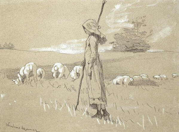 Winslow Homer Art Print featuring the drawing Standing Shepherdess with her Flock by Winslow Homer