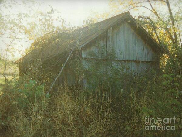 Wall Art Art Print featuring the photograph Still Standing by Chris Naggy