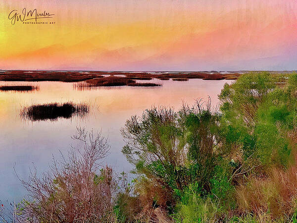 Marsh Art Print featuring the photograph Stillness of the Marsh by GW Mireles
