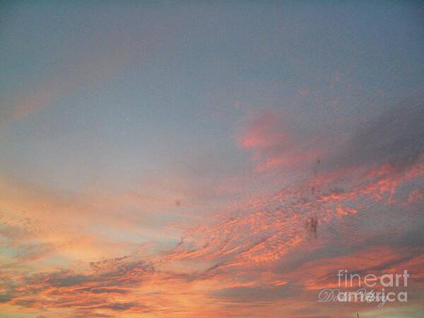 Florida Art Print featuring the photograph Sunset in Florida by Dodie Ulery