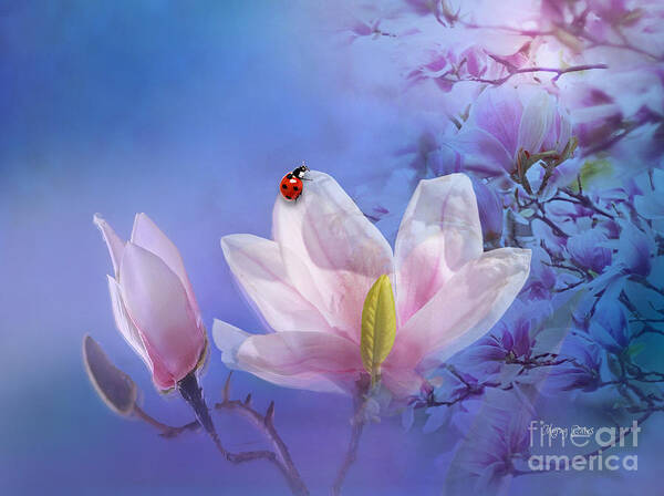 Magnolia Blossom Art Print featuring the digital art Sweet Magnolia by Morag Bates