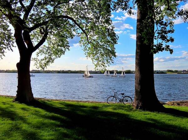 Delaware River Art Print featuring the photograph Taking a Break on a Spring Afternoon by Linda Stern