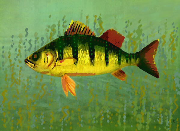 Vintage Art Print featuring the mixed media The Fanciful Limon Barb by Shelli Fitzpatrick