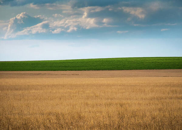 Colorado Art Print featuring the photograph The Plains of Colorado by Kevin Schwalbe