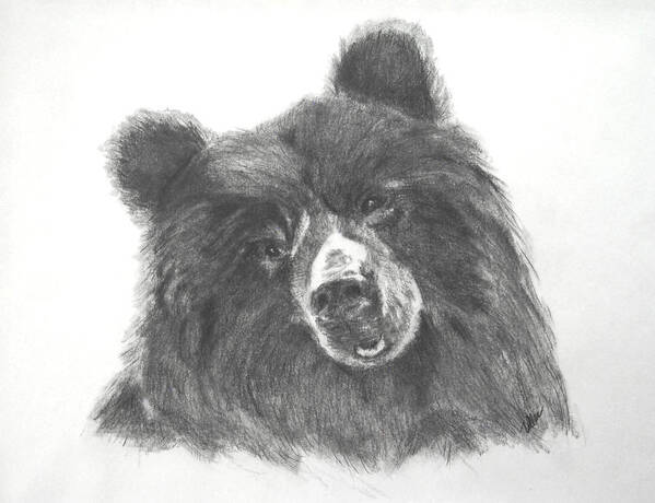 Bear Art Print featuring the drawing Tootsie Roll by Vallee Johnson