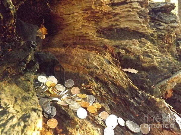 Old Coins Art Print featuring the photograph Treasure Bark 5 by Denise Morgan