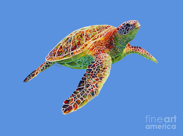 Turtle Art Print featuring the painting Turtle Reflections - solid background by Hailey E Herrera
