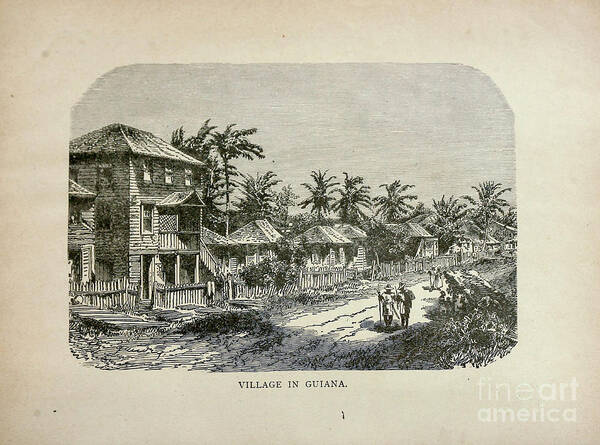 Village Art Print featuring the photograph Village in Guiana b1 by Historic illustrations