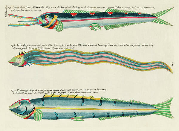 Fish Art Print featuring the digital art Vintage, Whimsical Fish and Marine Life Illustration by Louis Renard - Geep Alforeese, Bilangh by Louis Renard