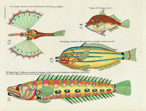 Fish Art Print featuring the digital art Vintage, Whimsical Fish and Marine Life Illustration by Louis Renard - Sea Dragon, De Bonte Jager by Studio Grafiikka