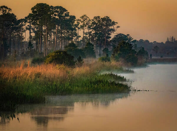 Everglades Art Print featuring the photograph Waking Up In The Glades by Rebecca Herranen