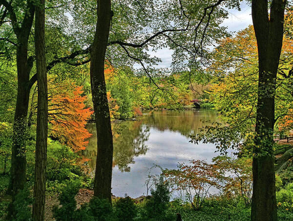 Pond Art Print featuring the photograph Walden Pond in Central Park by Allen Beatty