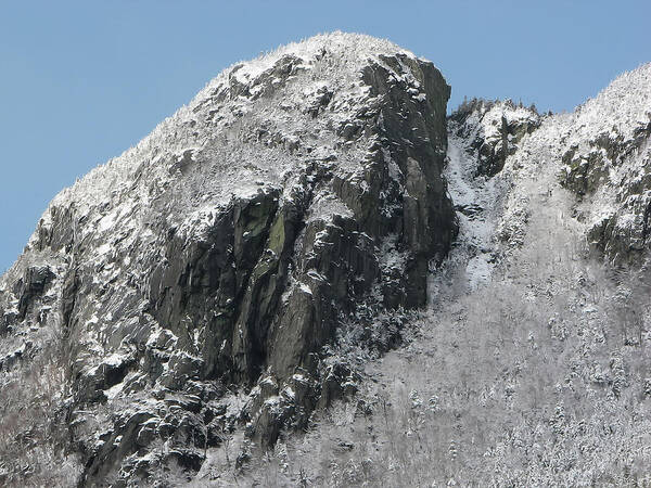 Watcher Art Print featuring the photograph Watcher Winter Profile by White Mountain Images