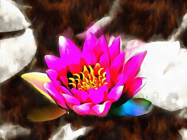 Water Lily Art Print featuring the mixed media Water Lily by Christopher Reed