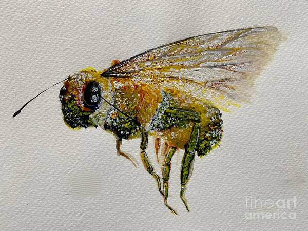 Watercolour Art Print featuring the painting Watercolour bee by Sharron Knight