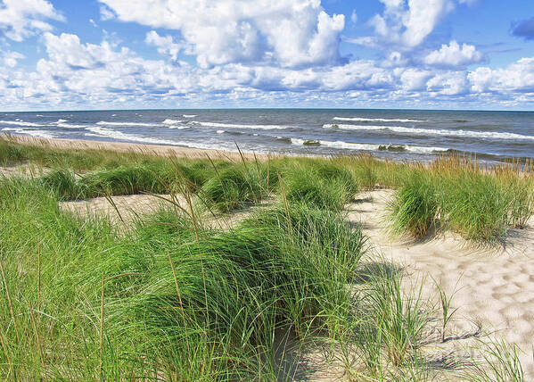 Beach Art Print featuring the photograph Windy Shoreline by Kathi Mirto