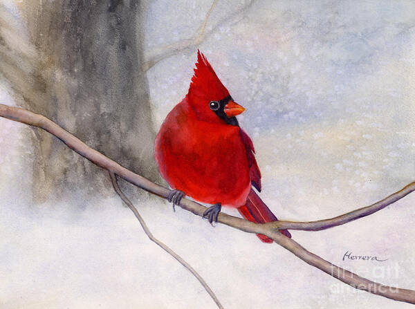 Cardinal Art Print featuring the painting Winter Cardinal by Hailey E Herrera